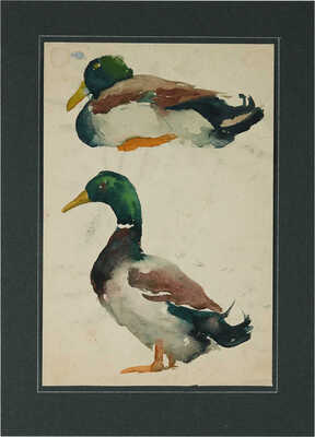 Эвенбах Евгения Константиновна.  Уточки (на оборотной стороне наброски)